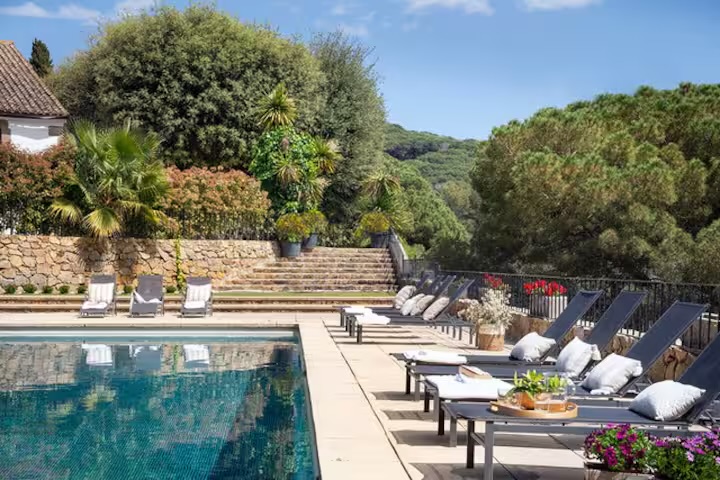 La piscina amb gandules i la pineda al darrere
