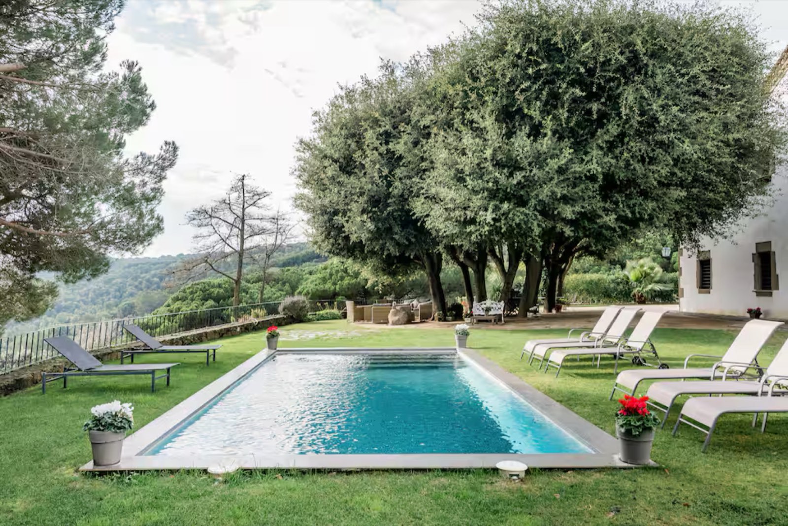 La piscina amb l'alzina i la vall al fons